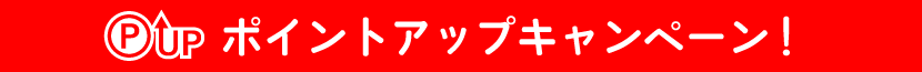 ボーナスポイントプレゼント！