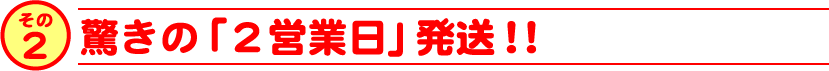 驚きの「2営業日」発送！！